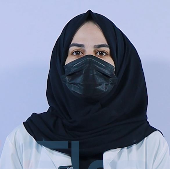 مدینه  بخشی