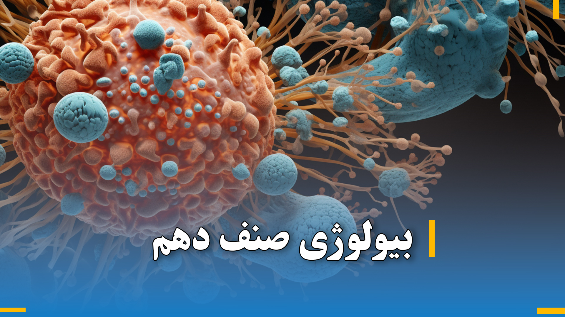 بیولوژی صنف دهم 