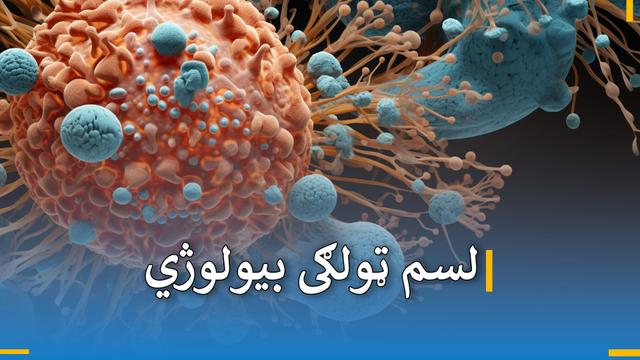 د لسم ټولګي د بیولوژي 