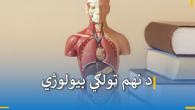 د نهم ټولګي د بیولوژي 