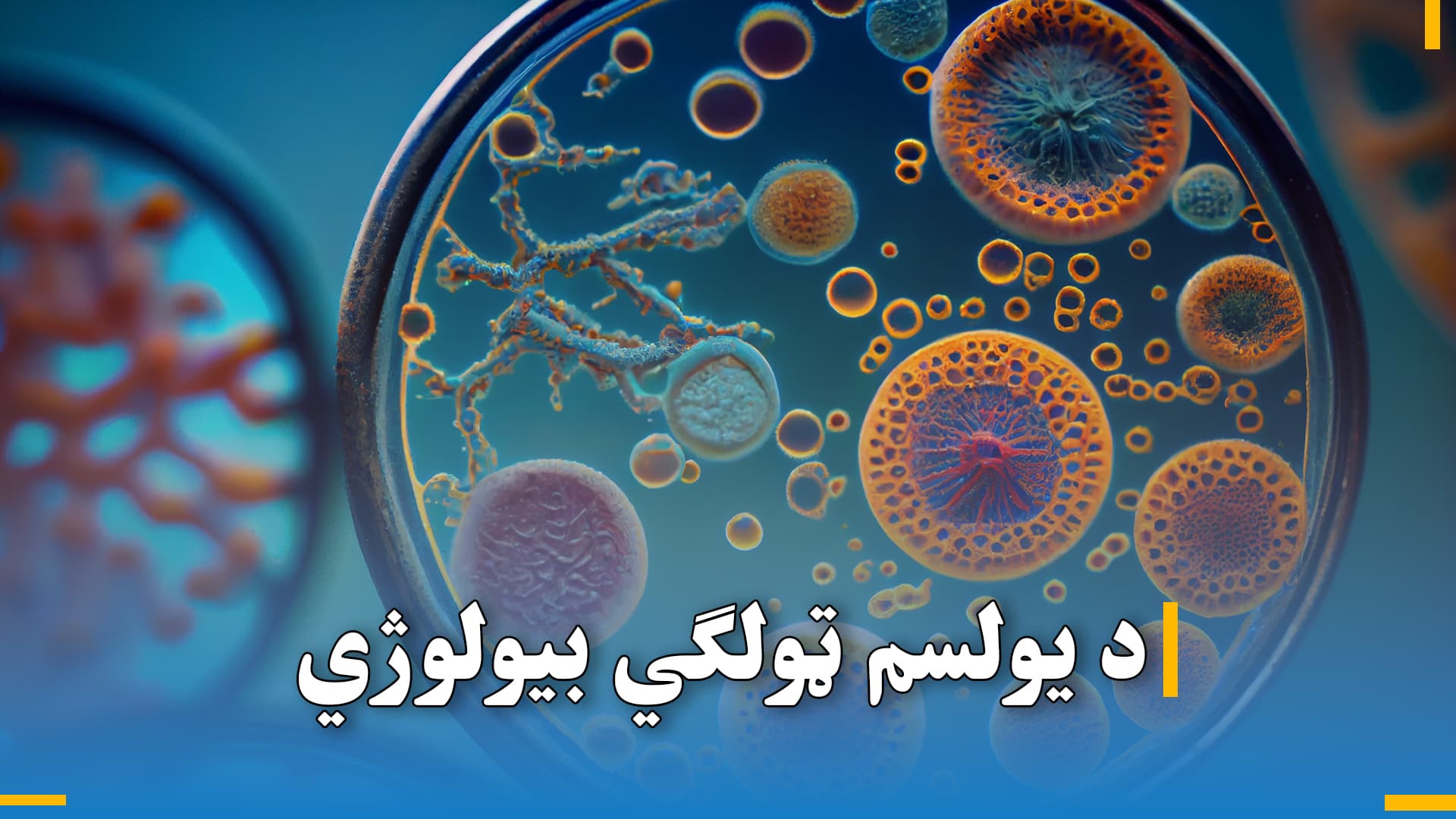 د یولسم ټولګي بیولوژي 