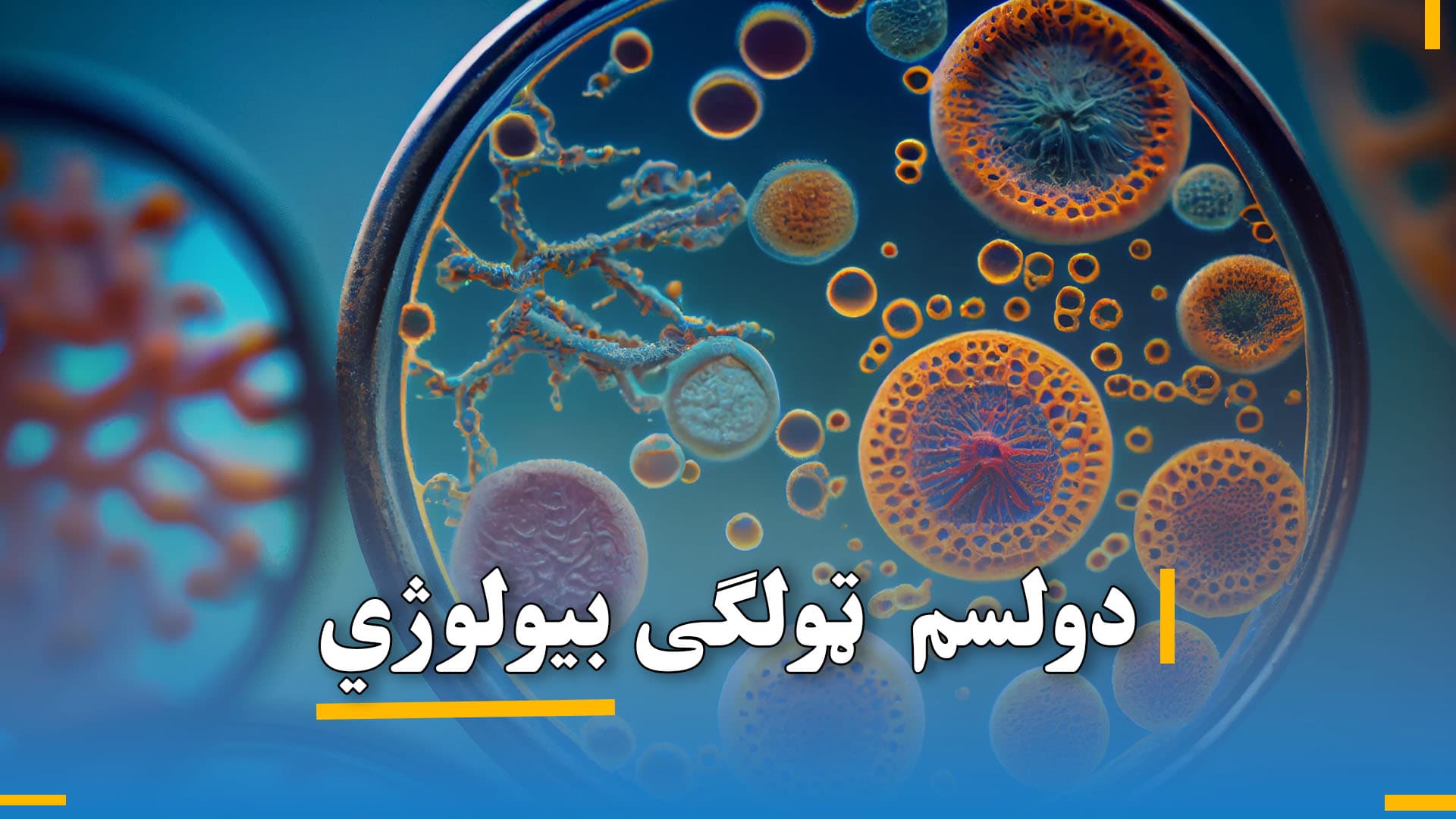 د دولسم ټولګي بیولوژي 